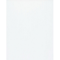 Панель ПВХ 2700х250х10мм Белый фарфор